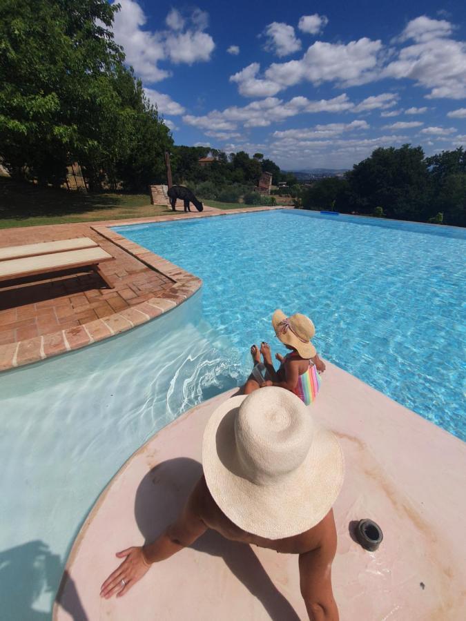 Agriturismo Il Vecchio Mandorlo Перуджа Экстерьер фото